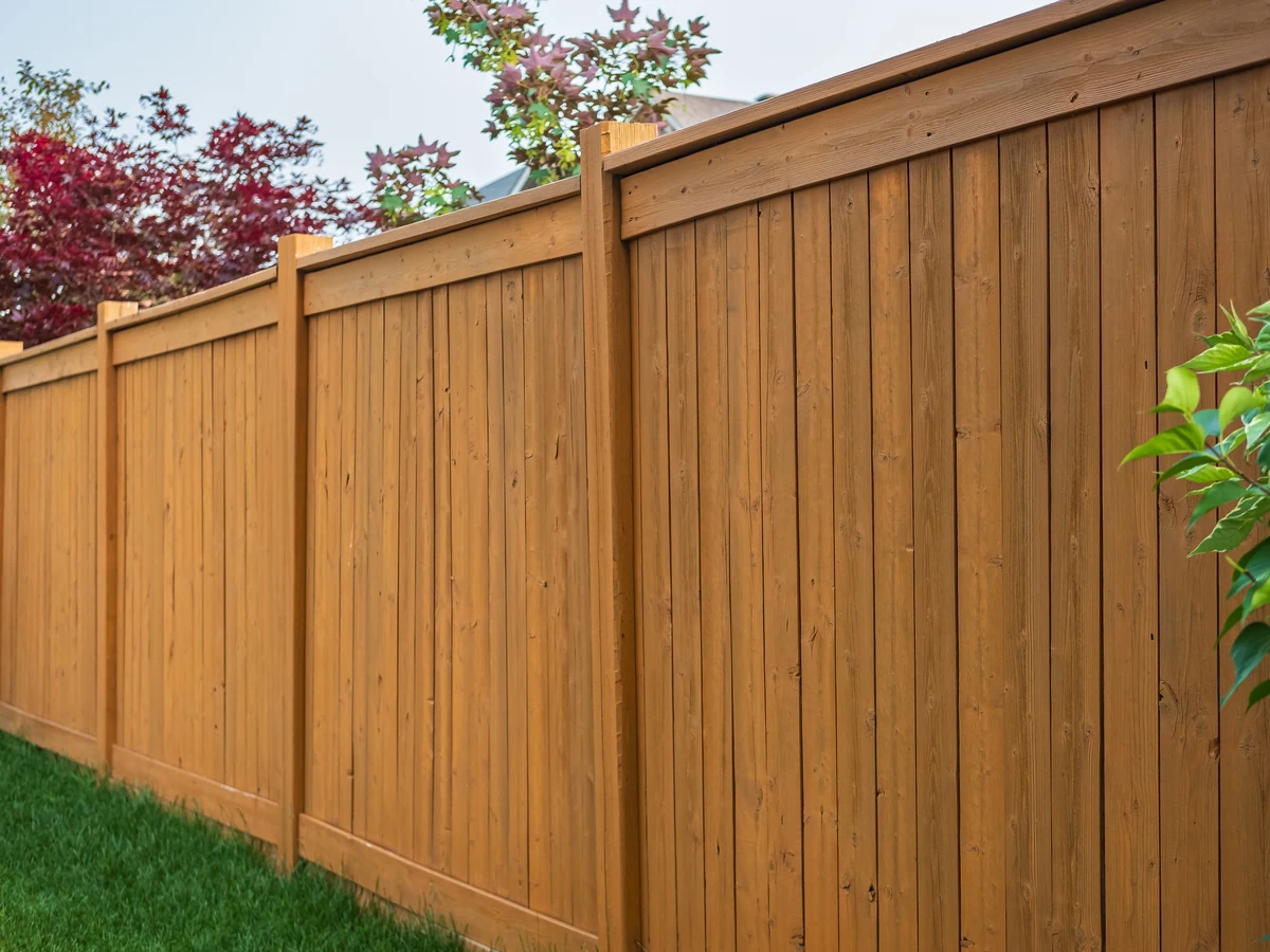 Tall wooden stained fence panel in Cheltenham garden
